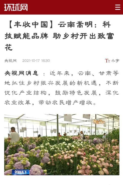 嵩明县新闻爆料,聚焦民生热点，揭示社会现象